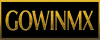 logo GOWINMX COM’s